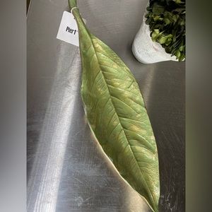 Super Cute Pier 1 Ceramic Leaf